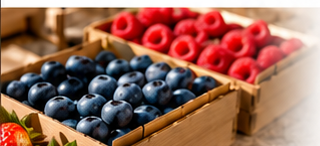 08_berries_empaque_agricola